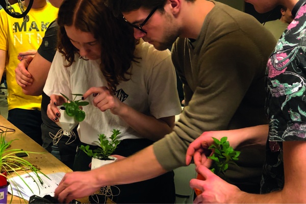 Vis artikkelen «Hydroponikk workshop på Makerverkstedet!»; bildebeskrivelse: 